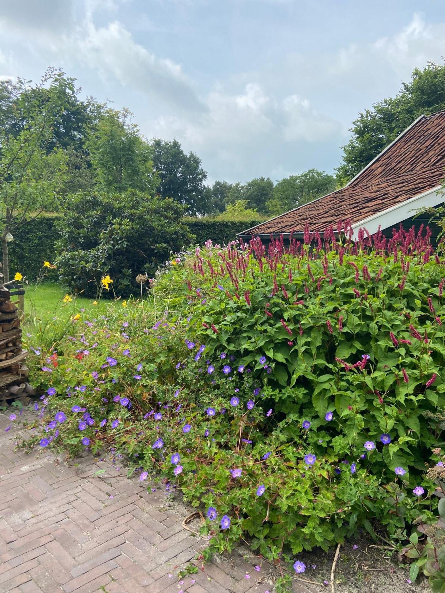 Haystackcottage 패터스볼드 외부 사진
